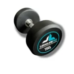 Halter 20Kg Dumbbell Redondo Aço Emborrachado